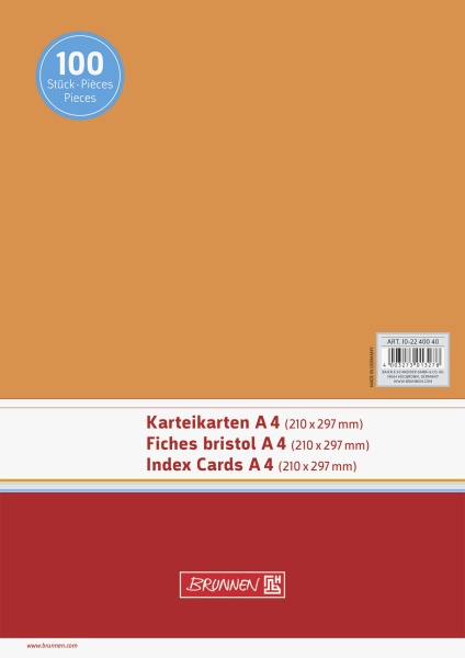 Karteikarte A4 unlin or 100St - 102240040