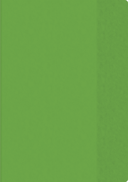 Brunnen Hefthülle A4 transp. grün Folie