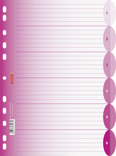 Ringbuchregister A4 6teilig pink