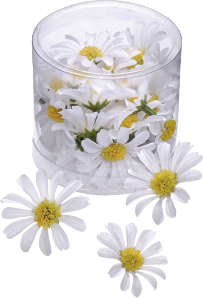 Margeritenblüten 4cm weiß 25er - 216529864