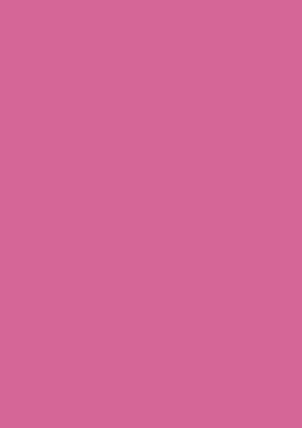 Brunnen Universalpapier A4 fuchsia 80g - 105125026