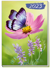 Trötsch Taschenkalender A7 Schmetterling