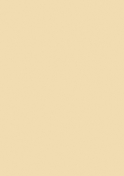 Heyda Tonpapier A4 beige - 204721412