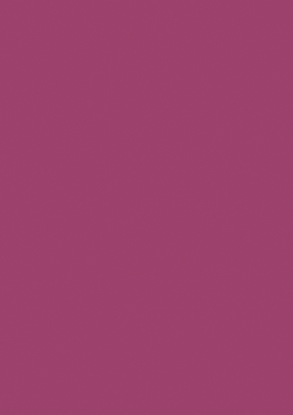 Tonpapier A4 130g bordeaux EAN - 204721427