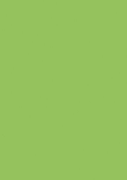 Tonzeichenpapier grasgrün - 204721454