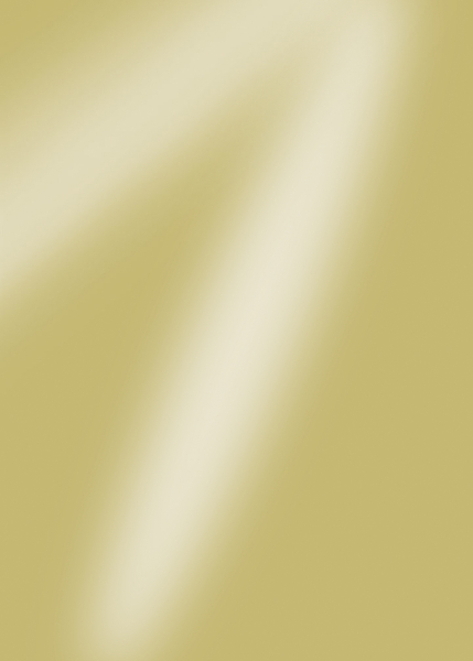 cArt-Us SpiegelkartonA4 Richgold - 21-18920101