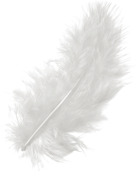 Marabufeder 10cm weiß 15er - 216619002