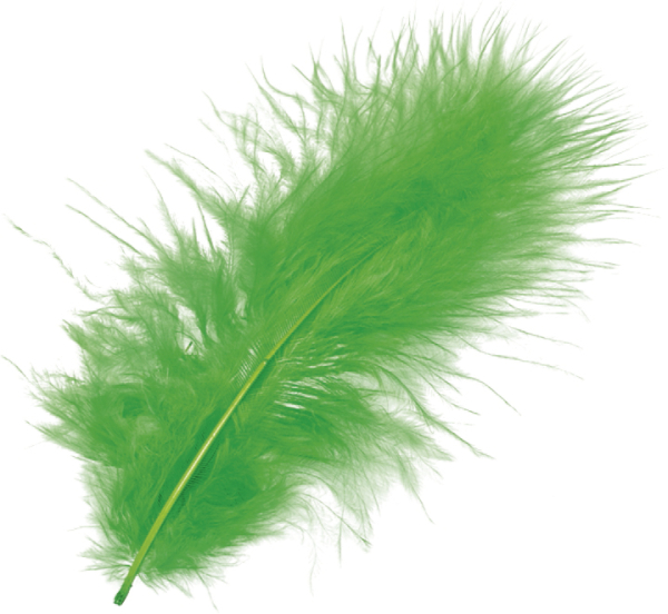 Marabufeder 10cm grün 15er - 216619440