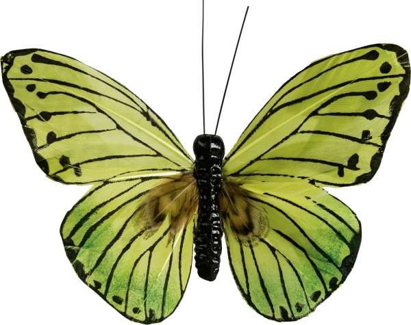 Schmetterling grün 9cm 2er