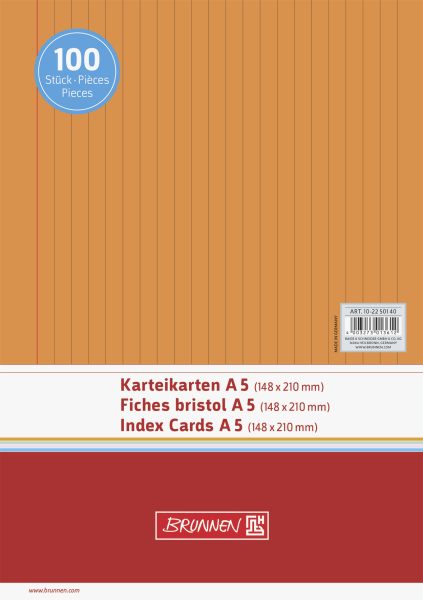 Brunnen Karteikarte A5 liniert VE100 - 102250140