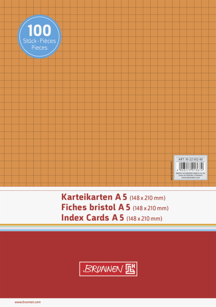 Brunnen Karteikarte A5 kariert VE100 - 102250240