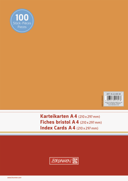 Karteikarte A4 unlin or 100St - 102240040