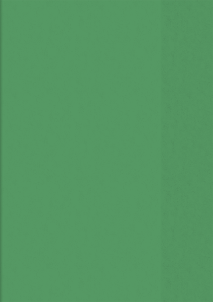 Brunnen Hefthülle PP A4 transparent grün
