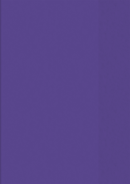 Brunnen Hefthülle A5 transparent violett - 4050560