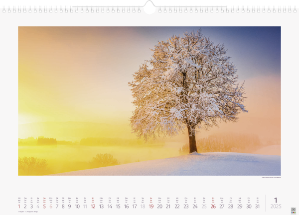 Bildkalender Lichtimpressionen, - 5161435045