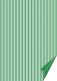 Heyda Bastelkarton Streifen grün