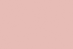 Filz 1mm 45x500 100%Viskose rosa