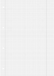 Brunnen Schulblock A4 kariert  70g - 1052528