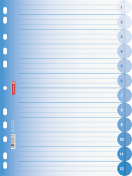 Ringbuchregister A4 12teilig azur