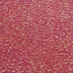 Embossing Puder 10g glitter rot