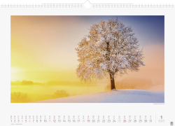 Bildkalender Lichtimpressionen,