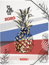 Sammelmappe A3 PP RVS Pineapple - 1047053651