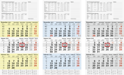 Dreimonatskalender 30 x 58 cm, Datumssch - BRN1070210952